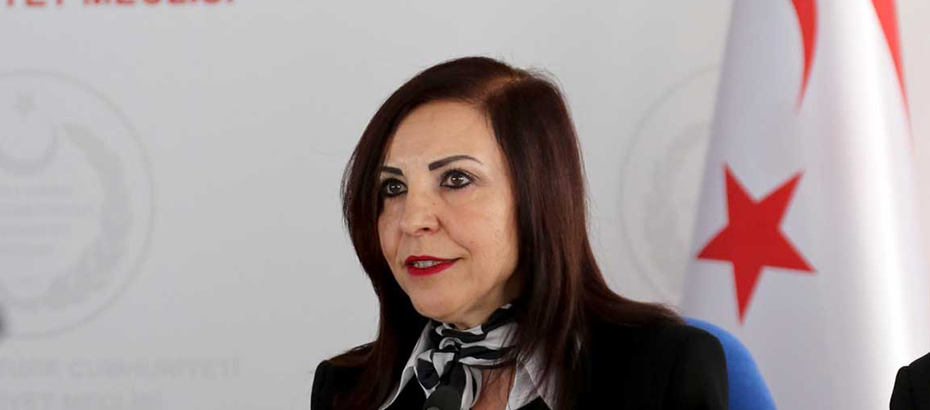 Ombudsman Teknecik Elektrik Santrali hakkında rapor yayınladı