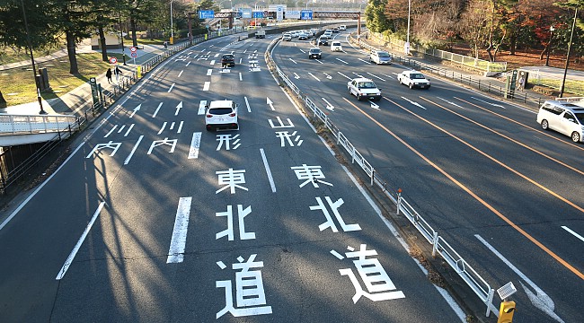 Japonya'da trafikte 30 bin bunamış var!