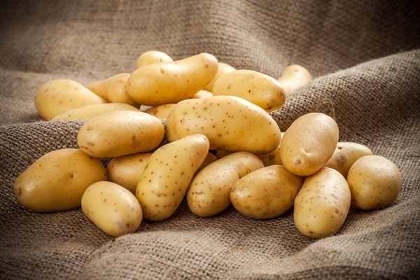 Toprak Ürünleri Kurumu'ndan patates üreticilerine duyuru