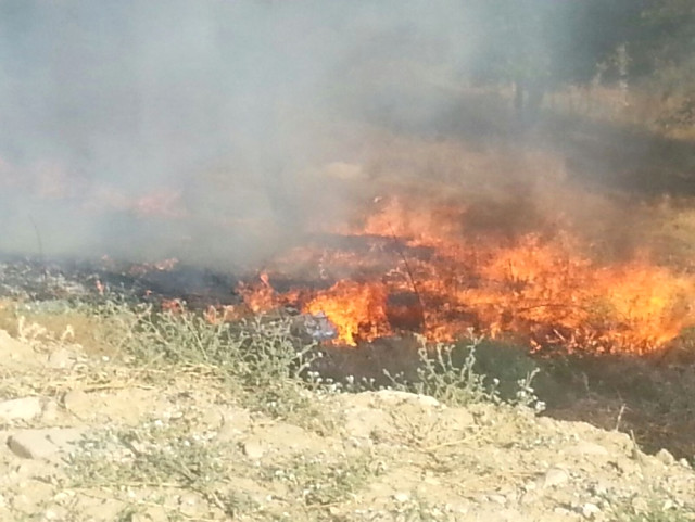 Yamaçköy’deki orman yangını kontrol altına alındı