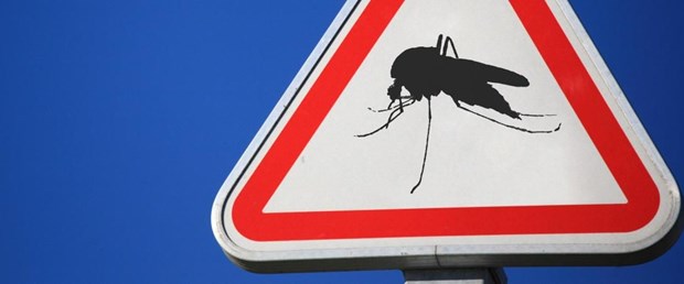 Fransız başkan, sivrisineklerin semte girişini yasakladı