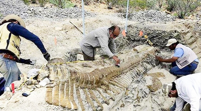 Çin'de 174 milyon yıllık dinozor fosili bulundu