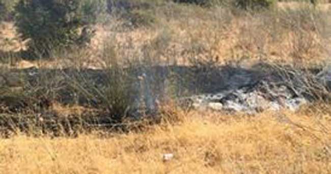 Lapta'da yangın… Beş dönümlük arazi yandı