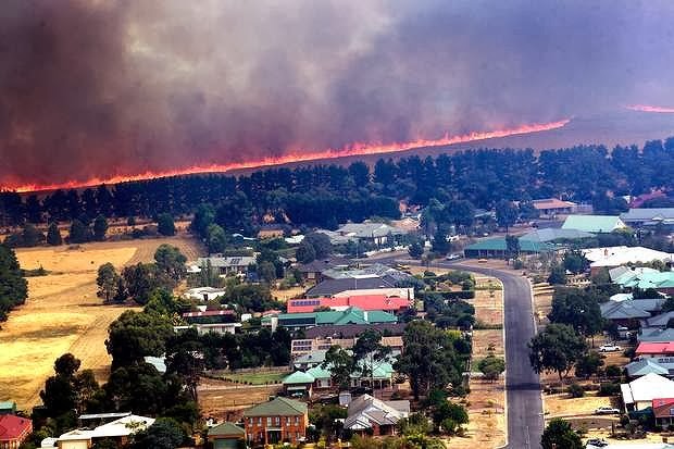 Avustralya’da orman yangınları