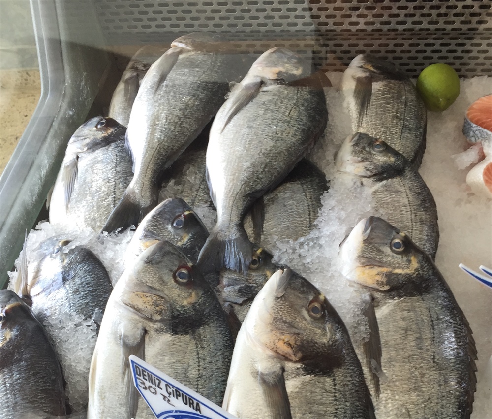 Ziraat Mühendisleri Odası uyardı: “Çipura balığı” konusunda tüketici yanıltılıyor