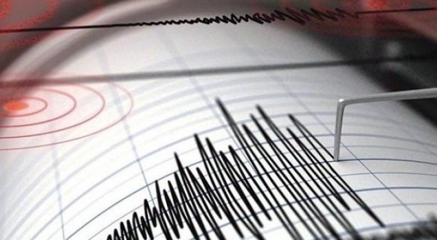 Gürcistan'da 4,6 büyüklüğünde deprem