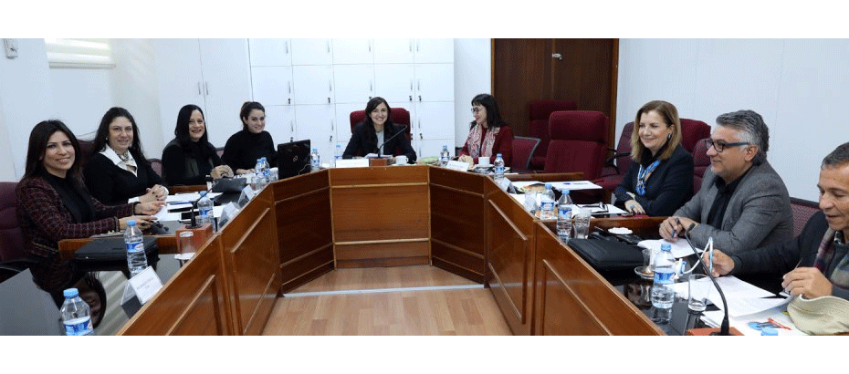 Meclis, İdari, Kamu ve Sağlık İşleri Komitesi toplandı