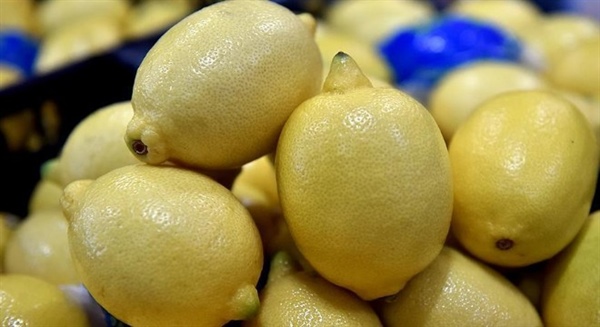 Cypfruvex, limon ürünü bakiyelerini ödüyor