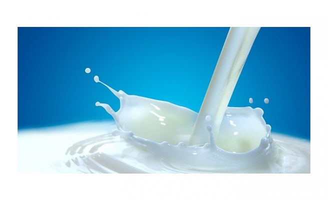 Süt bedeli üreticilerin hesaplarına yatırıldı