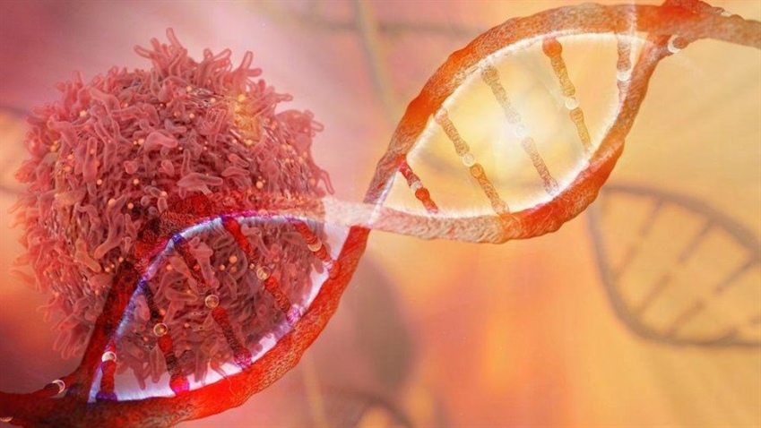 Kanserin DNA’daki parmak izini arıyorlar