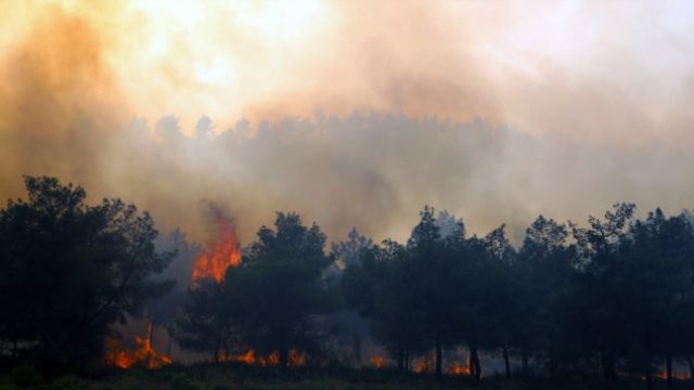 İsveç’te mevsim normallerinin üzerindeki sıcaklar yangınlara yol açtı