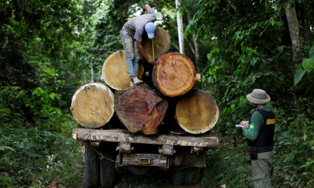 2018 yılında dünya genelinde 12 milyon hektar tropikal ormanlık alan yok oldu