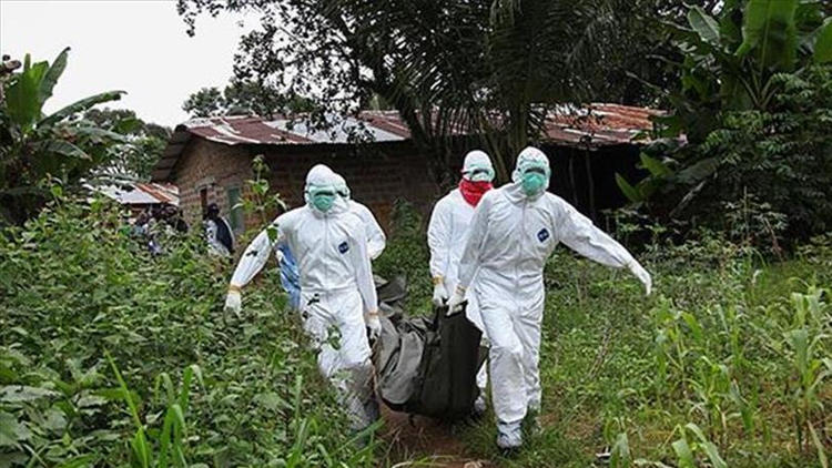 Ebola salgınında yaşamını yitirenlerin sayısı 942'ye yükseldi
