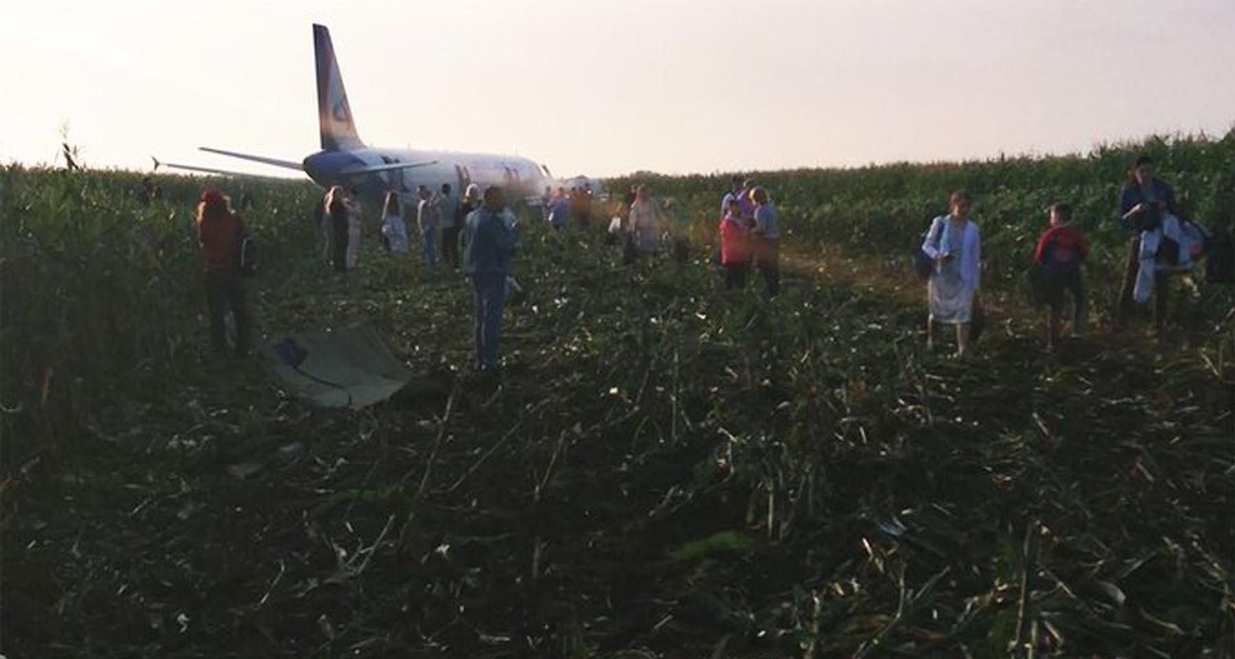 Kuş sürüsüne denk gelen Rus yolcu uçağı mısır tarlasına acil iniş yaptı