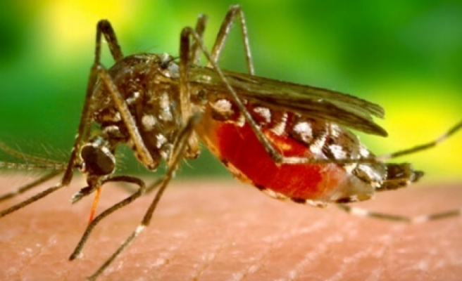 Bugüne kadar 15 Batı Nil Virüsü vakası tespit edildi