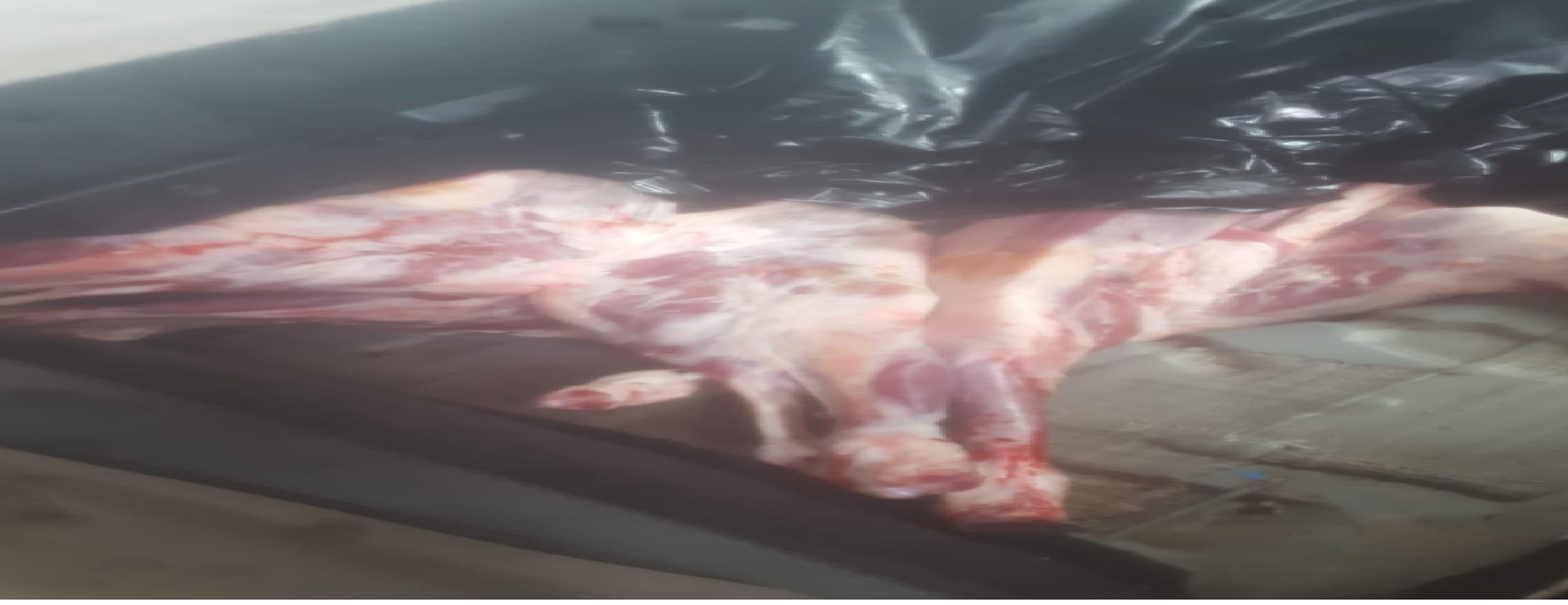 Metehan Kara Giriş Kapısında gümrüğe beyan edilmemiş 350 kg kemiksiz dana eti ve 90 kg kuzu bannası