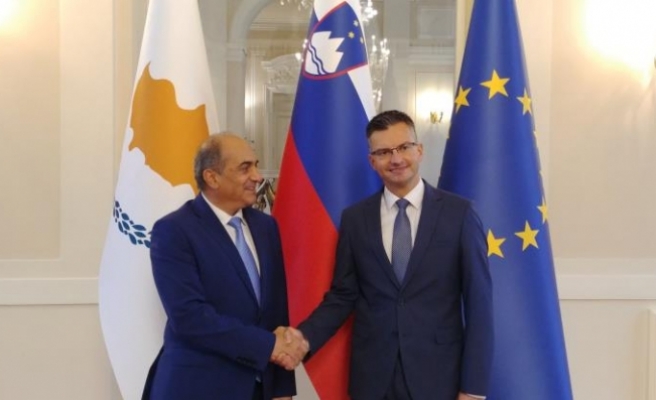 Rum ve Slovenya Meclis Başkanları görüştü