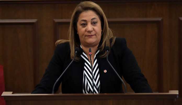 Manavoğlu, insan hakları günü olan bugün Kıbrıslı Türklerin haklarını dünyanın görmezden gelmesini eleştirdi