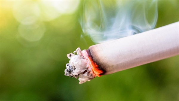 Sigara içenler ve sigarayı bırakmış kişiler, hayatlarında hiç sigara içmeyenlere kıyasla daha fazla ağrı hissediyor