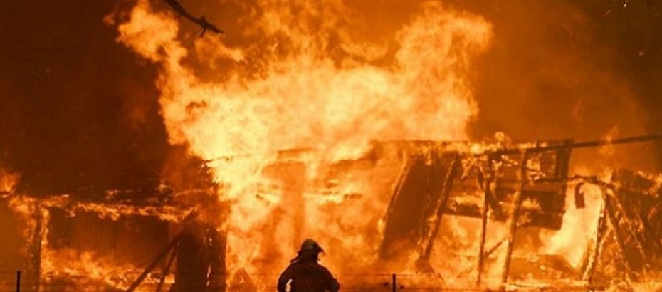 Avustralya’daki yangınlarda 11 milyon futbol sahası büyüklüğünde alan kül oldu