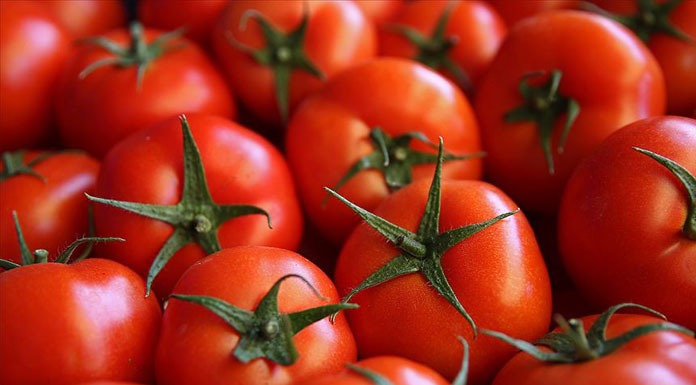 Limit Üstü Bitki Koruma Ürünü tespit edilen domatesler imha edildi
