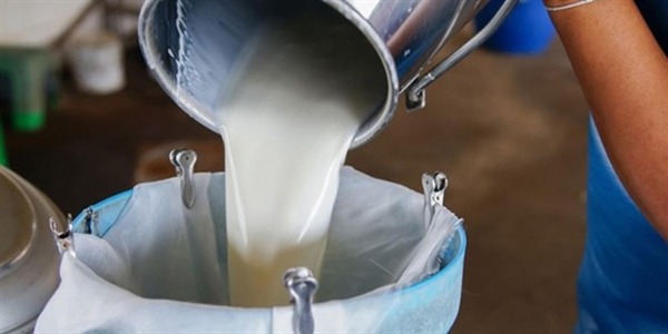 SÜTEK’ten çağrı: “Süt üretimini azaltın”