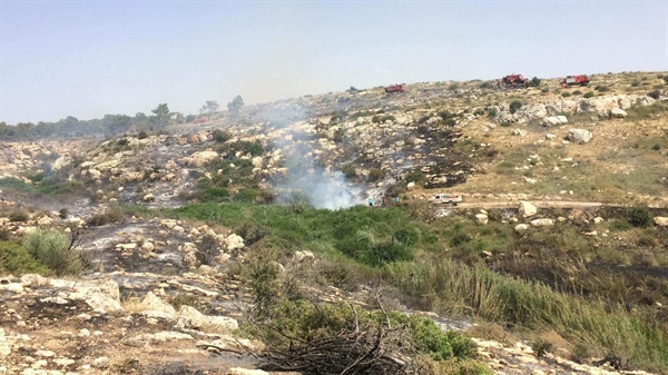 Dün Tepebaşı –  Kalkanlı’da 35 dönümlük makilik alan yanarak zarar gördü