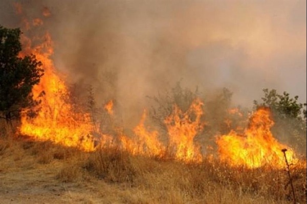 Yeniboğaziçi’nde arazi yangını