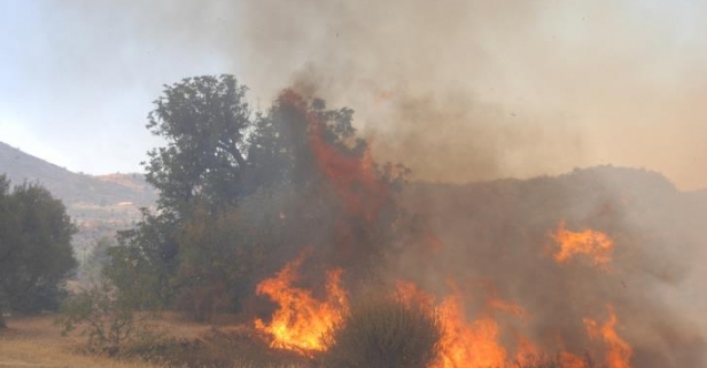 Bostancı'da yangın! Nar fidanları ile narenciye ağaçları zarar gördü