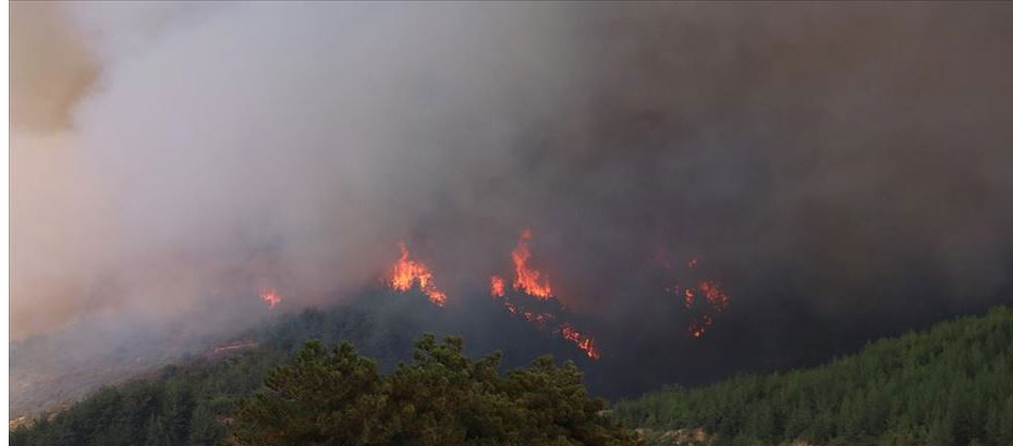 Adana’daki orman yangınında 6 köy boşaltıldı