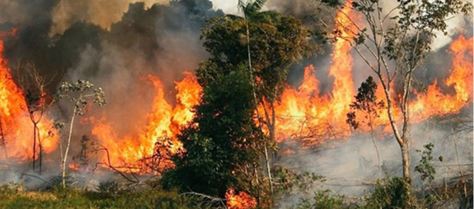 Orman Dairesi’nden uyarı: Yangın tehlikesi var!
