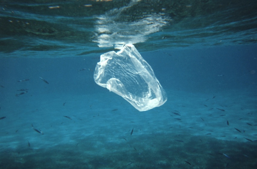 Akdeniz’de plastik facia uyarısı