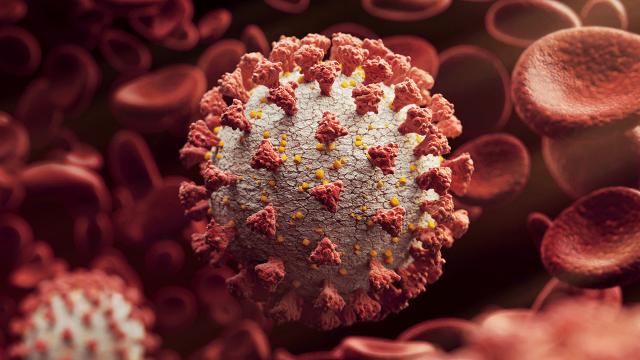 Hızlı bulaşan koronavirüs türü ABD'de de görüldü