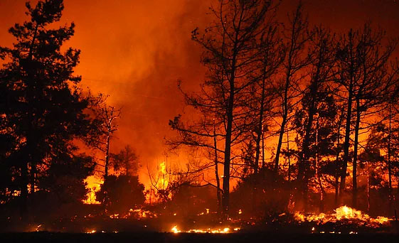 125 kişilik Yangın Hazır Kuvvet Ekibi kuruluyor