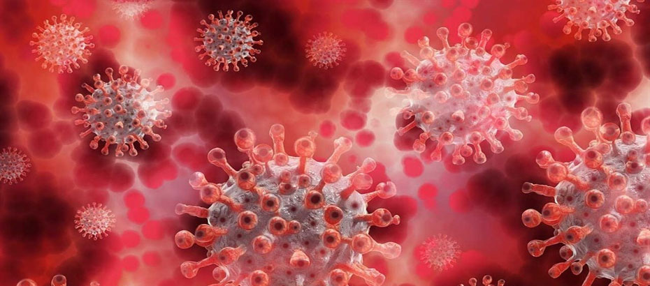 Dünyada koronavirüs salgınında son 24 saat