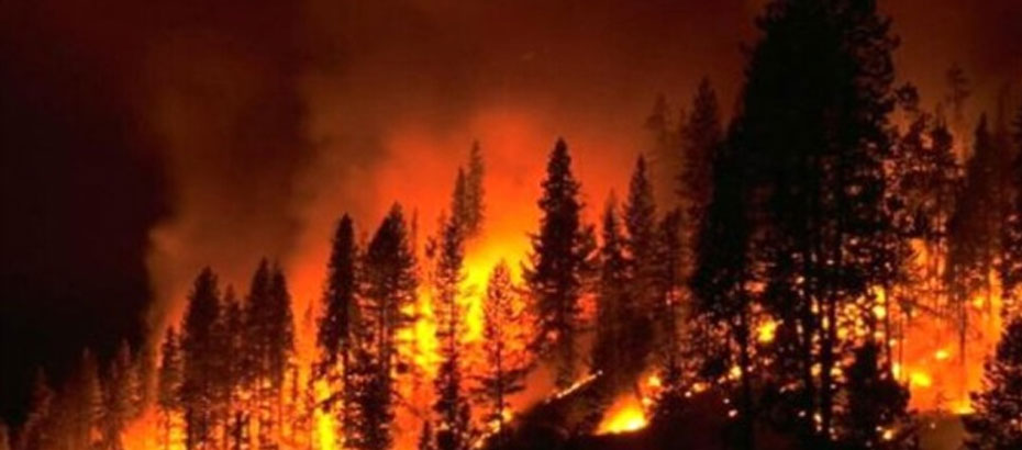 “Orman Yangınlarına” ilişkin Meclis Araştırma Komitesi raporu