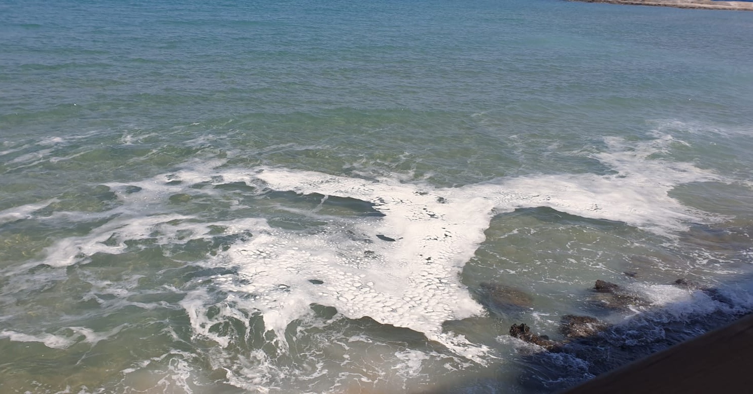 Biyologlar Derneği, Karpaz sahillerinde görülen köpük oluşumu ile ilgili açıklama yaptı