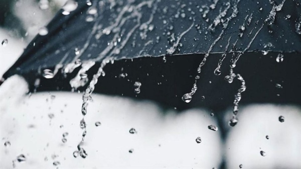 Kantara’da metrekareye 7 kg yağmur düştü