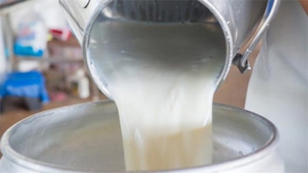 SÜTEK, yeni süt fiyatlarını açıkladı