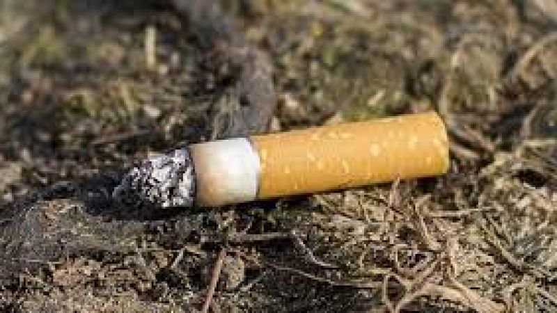 PGM: Muhtemelen sigara izmaritinden 32 yangın çıktı