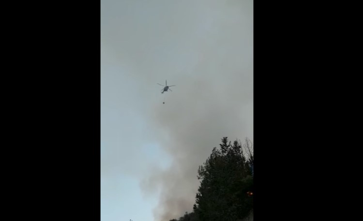 Mersinlik’te orman yangını: Havadan müdahale yeniden başladı