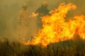 Arjantin'de ordu orman yangınlarıyla mücadelede sahaya iniyor