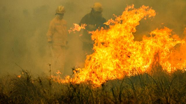 Arjantin’de ordu orman yangınlarıyla mücadelede sahaya iniyor