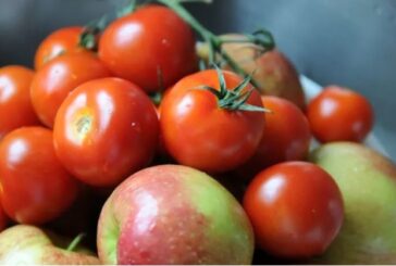 Yerli ürünler temiz, ithal çeri domates ve elmada limit üstü kalıntı