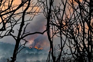 Türkiye'de sene başından bu yana 1022 orman yangını meydana geldi