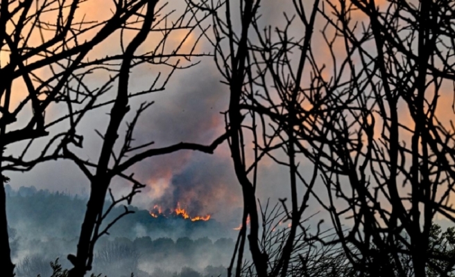 Türkiye’de sene başından bu yana 1022 orman yangını meydana geldi